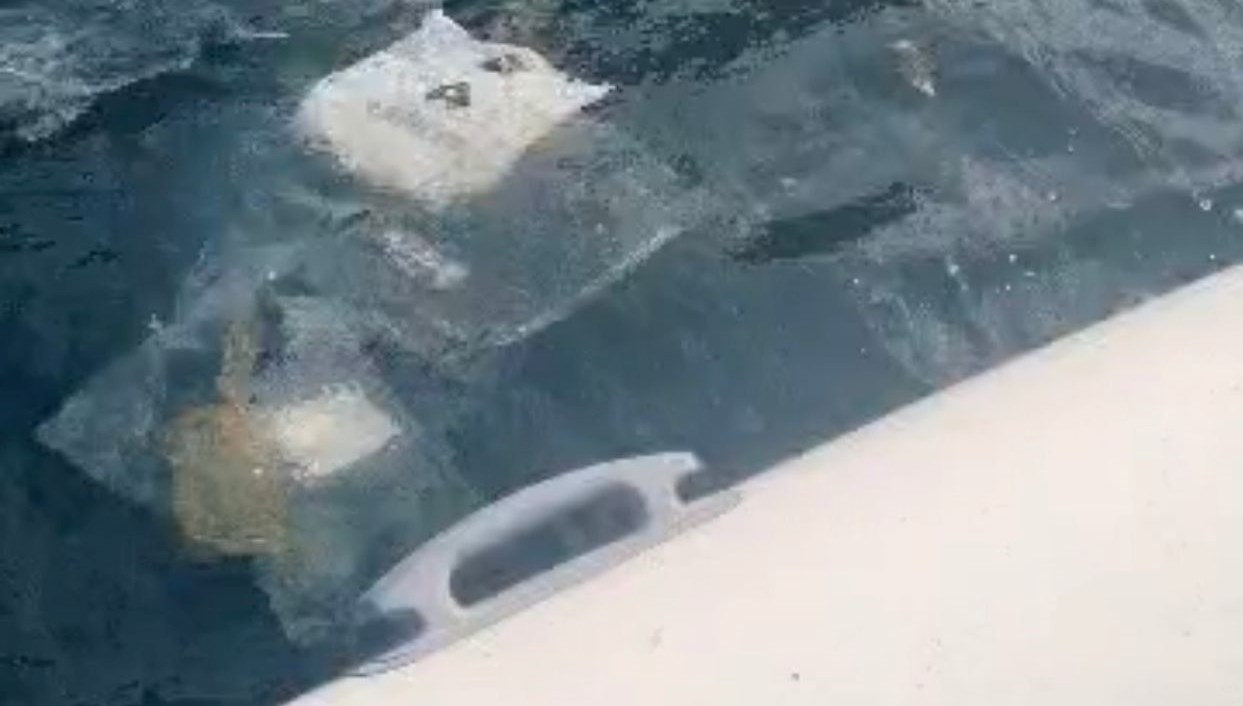 kuru yuk gemilerinden denize pislik sAhQqCYn