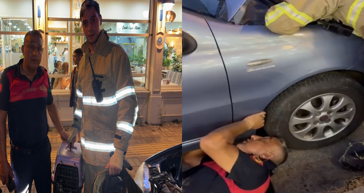 otomobilin motoruna sikisan yavru kediyi boyle kurtardilar 2FTgPv3M