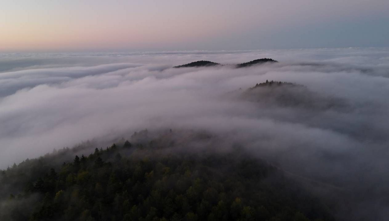 samsunda 1000 rakimli mahallede sis denizi iQgDKBUO