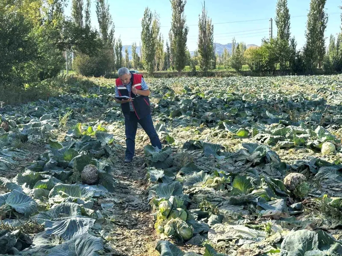 afyonkarahisarda tarim urunleri kontrolu Yi9B8iXn