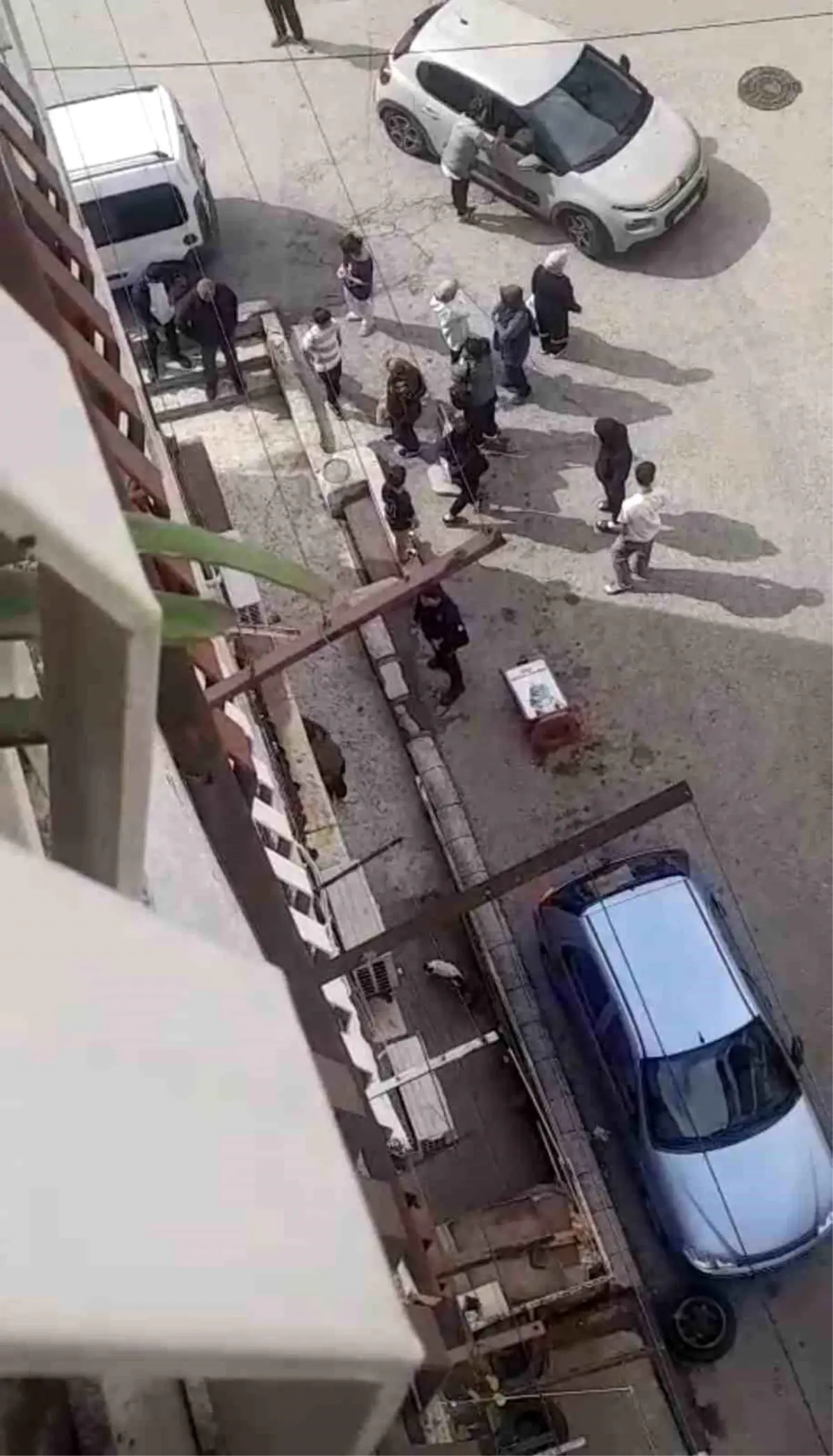 bursada petshopta taciz iddiasi pwLLC8fu