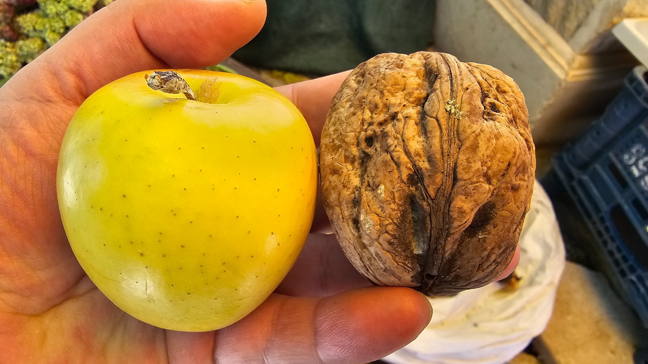 Elma Gibi Cevizler: Elazığ’da Büyük İlgi