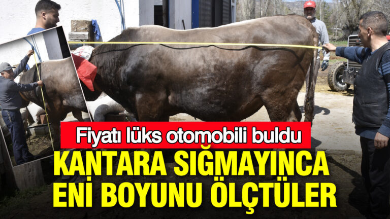 kantara-sigmadi-luks-otomobil-fiyatina-2026-kurban-fiyatlari-el-yakiyor-FzYy4xOg