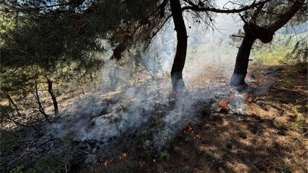 Jandarmanın Zamanında Müdahalesi Yangını Kontrol Altına Aldı