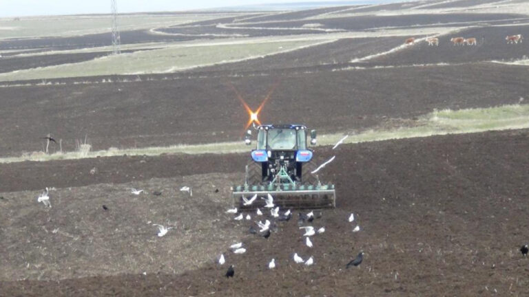 karsta-kis-uzadi-ekim-gecikti-ciftciler-alarmda-XTpXjsat