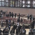 kurban-bayrami-oncesi-hayvan-pazarinda-kan-akti-1-olu-13-yarali-zPMeJ9gZ