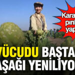 vucudu-bastan-asagi-yeniliyor-karacigeri-piril-piril-yapiyor-9kmp22XF