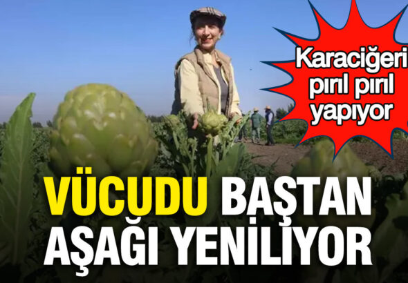 vucudu-bastan-asagi-yeniliyor-karacigeri-piril-piril-yapiyor-9kmp22XF