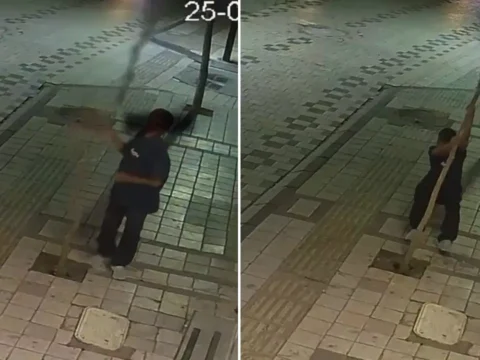 Kırklareli’nde ağaca kasti zarar: 14 yaşındaki şüpheliye soruşturma